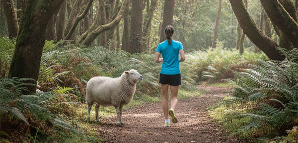 Sock Fabrics: Cotton vs Tactel vs Wool