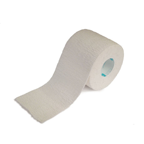 rip lite tape ll 2" box of 24